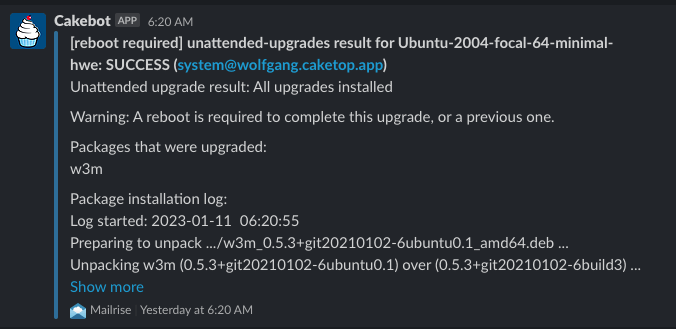 A message from an unattended-upgrades cronjob, appearing in a Slack channel
